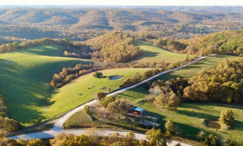 Things to do in Pineville MO