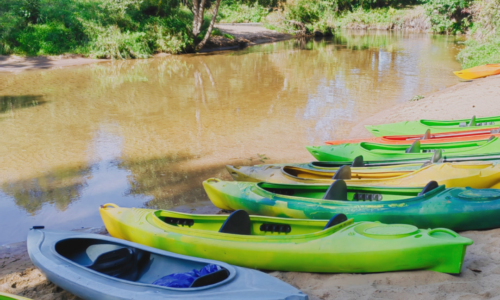 Discover the Best Cabin Rentals With River Bank Beach Access in Southwest Missouri
