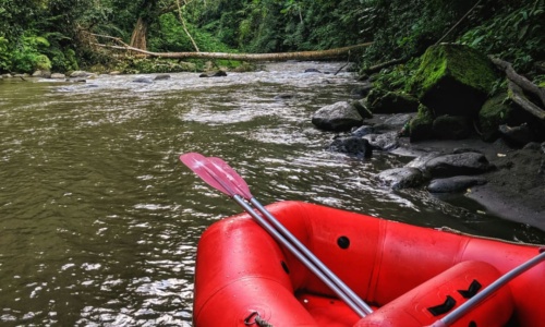 Mastering River Rafting Paddle Maneuvers