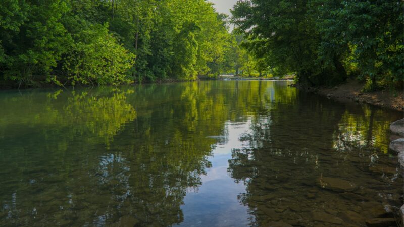 Lazy Days: Experiencing A Serene River Float Near Me in Southwest Missouri