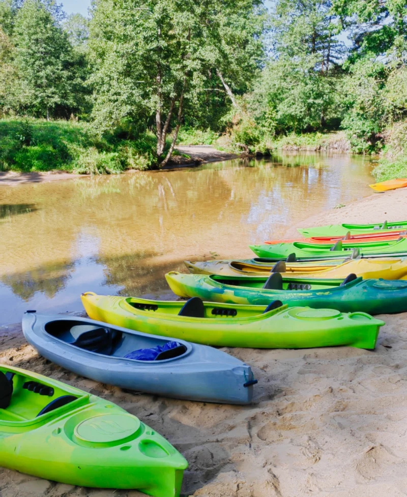 Discover the Best Cabin Rentals With River Bank Beach Access in Southwest Missouri