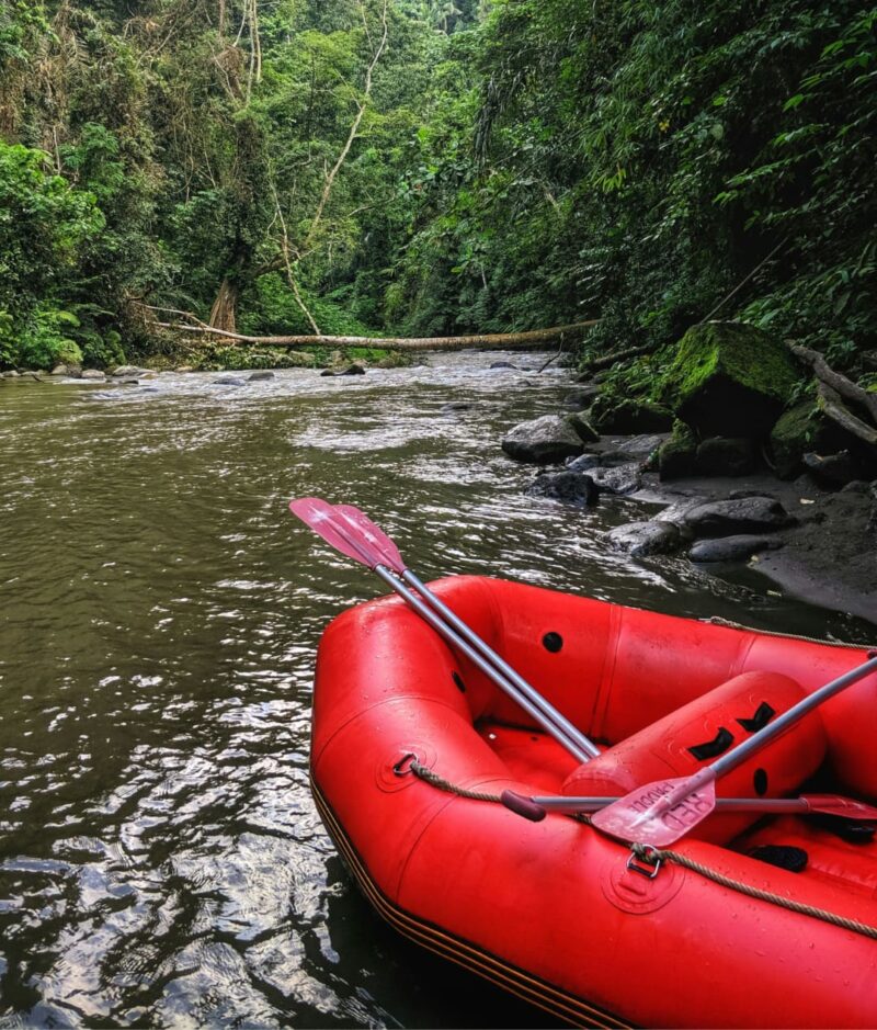 Mastering River Rafting Paddle Maneuvers